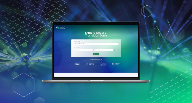 Screen shot of the Transition Finance Gateway